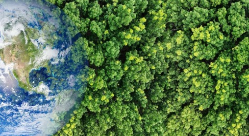 Imagen compuesta que combina una vista de la Tierra desde el espacio con un denso dosel de bosque verde
