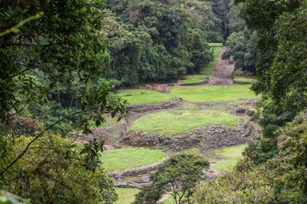 Montículos circulares de piedra cubiertos de césped de un sitio arqueológico en un claro del bosque