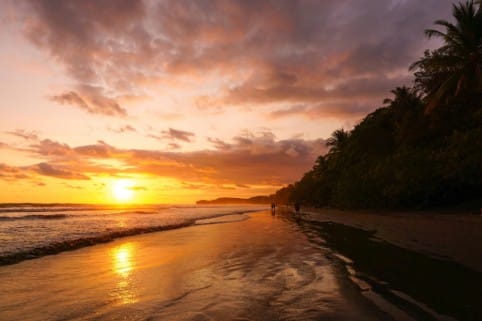 Atardecer anaranjado reflejado en la arena húmeda de una playa bordeada de palmeras